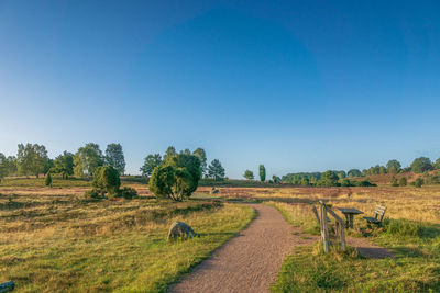 Scenic view of agricultural field against clear blue sky