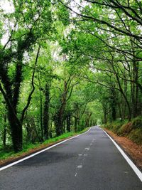 Empty road along trees in forest