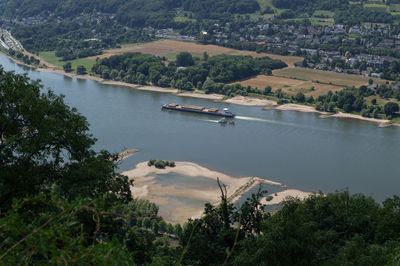 High angle view of river amidst trees