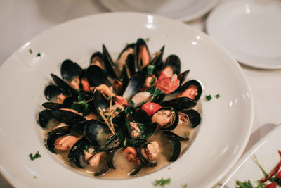 Close-up of food in plate