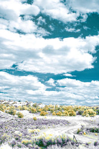 Aerial view of landscape against sky