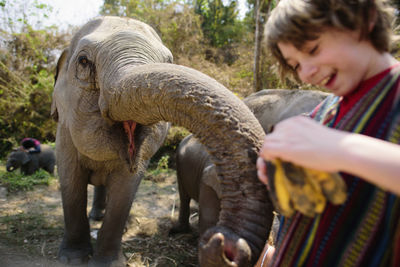 Boy feeding fruit to elephant