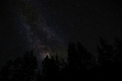 Low angle view of silhouette trees against star field at night