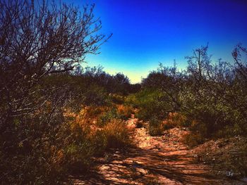 Dirt road passing through field against clear sky