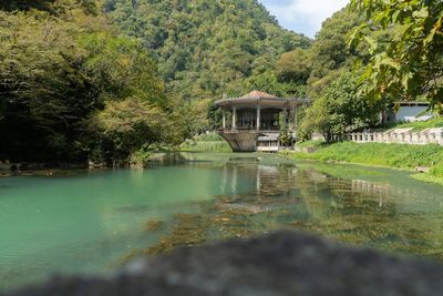 Scenic view of lake by trees and plants