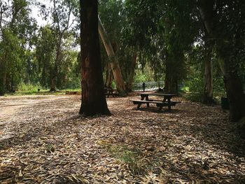 Empty bench in park