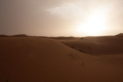 Scenic view of desert against sky