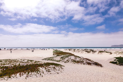 Scenic view of beach