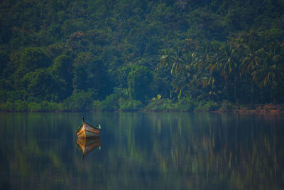 Scenic view of lake by trees in forest