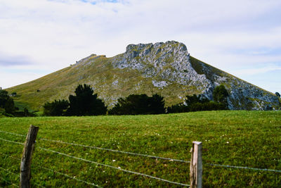 Scenic view of field against sky