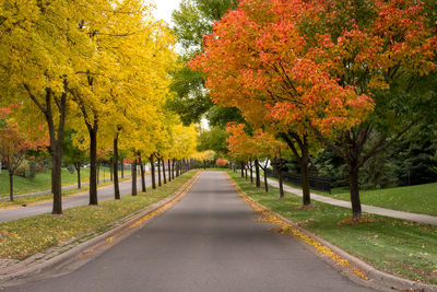 Road amidst trees in park during autumn