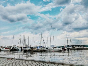 Sailboats moored in harbor