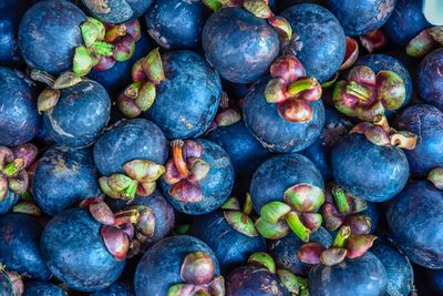 Full frame shot of blueberries