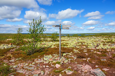 Plants growing on land against sky