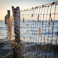 Netting between old wooden posts at the seaside