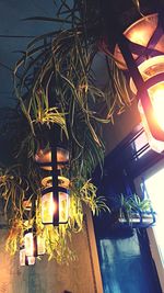 Low angle view of lamp post at night