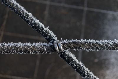 Close-up of frozen rope