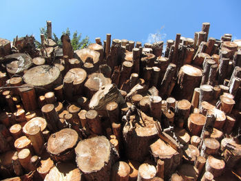 Stack of logs in forest against clear sky