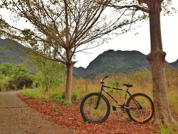 Bicycle on road by tree against mountain