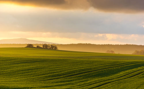 Scenic view of agricultural field against sky during sunset