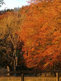 Scenic view of lake against sky during autumn