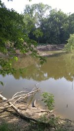 Scenic view of lake by trees against sky