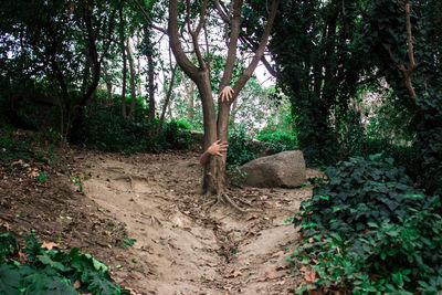 Digital composite image of hand on tree