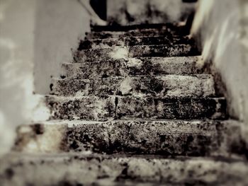 Close-up of surface level of ground