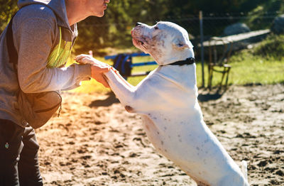 Man training a dog in park