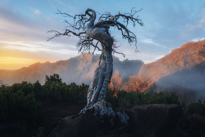 Scenic view of mountains against sky during sunset