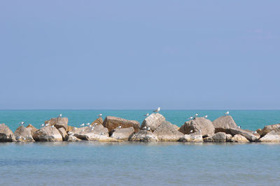 Panoramic view of sea against clear blue sky