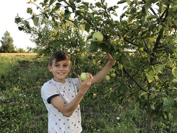 Boy plucks the first apples in his garden 