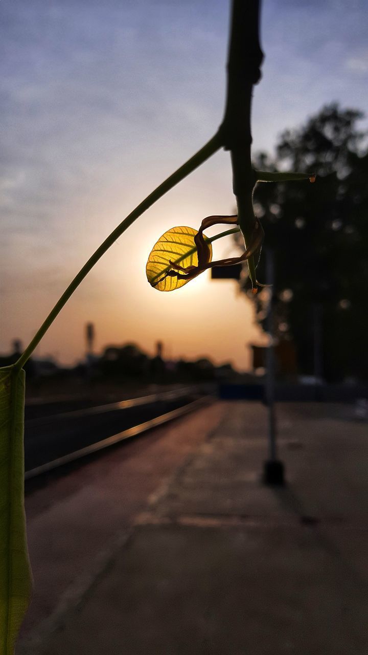 STREET AGAINST SKY DURING SUNSET