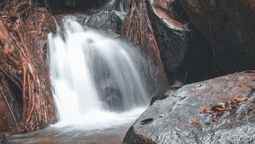 Scenic view of waterfall in forest