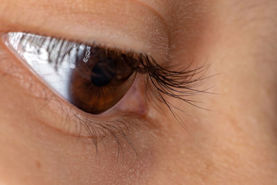 Extreme close-up of human eye