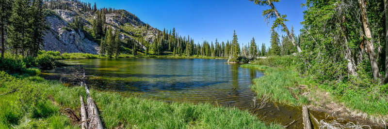 Scenic view of lake in forest against sky