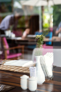 Close-up of potted plant on table