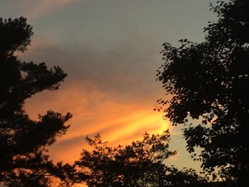 Low angle view of silhouette trees against romantic sky