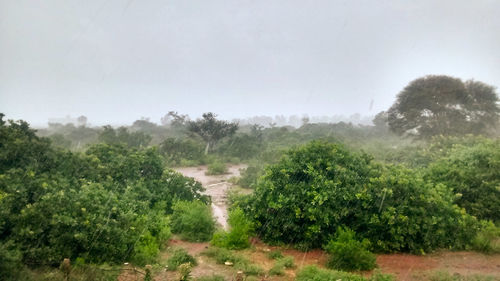 Scenic view of landscape against sky