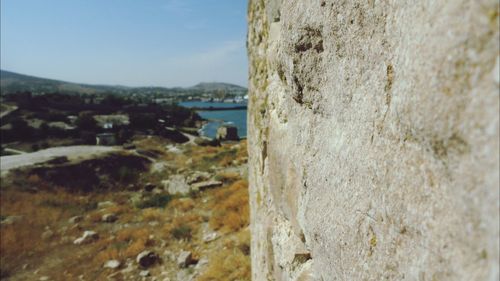 Close-up of rock on wall against sky