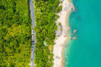 High angle view of trees by sea