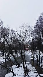 Bare trees by lake against sky