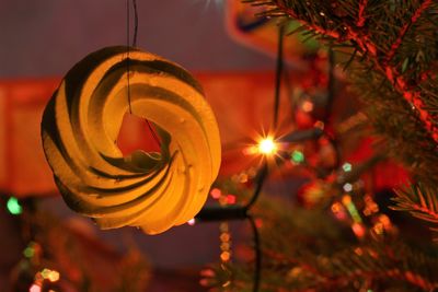 Close-up of illuminated light bulb hanging on tree