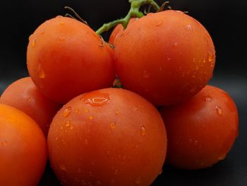 Close-up of wet tomatoes against black background