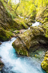 River flowing through rocks in forest