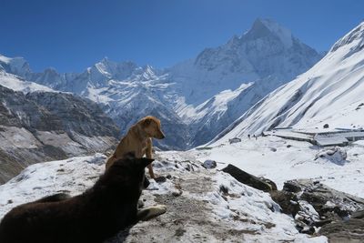 Annapurna base camp nepal