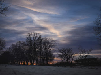 Bare trees on field against sky during sunset