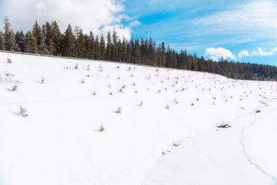 Scenic view of snow covered land against sky