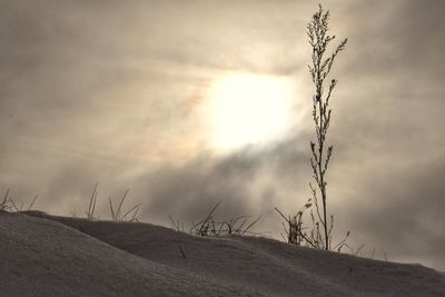 View of landscape against cloudy sky