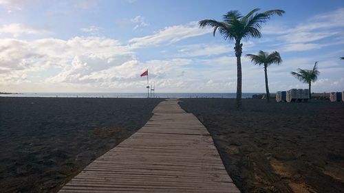 Scenic view of palm trees on beach against sky